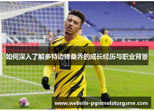 如何深入了解多特边锋桑乔的成长经历与职业背景