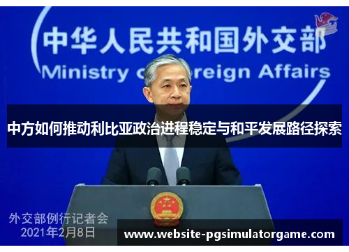 中方如何推动利比亚政治进程稳定与和平发展路径探索