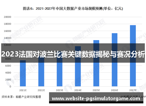 2023法国对波兰比赛关键数据揭秘与赛况分析