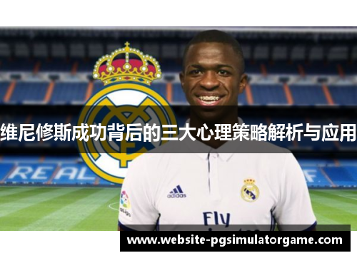 维尼修斯成功背后的三大心理策略解析与应用