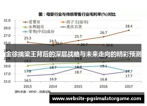 金徐擒梁王背后的深层战略与未来走向的精彩预测